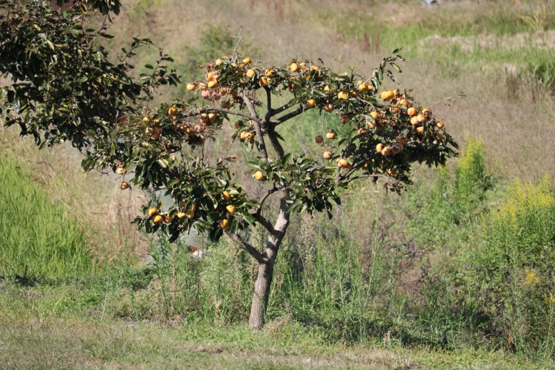 IMG_10657.JPG