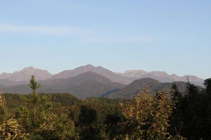 IMG_10959.JPG