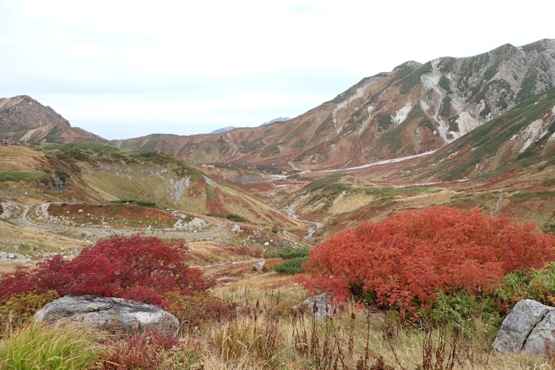 PA043973.JPG