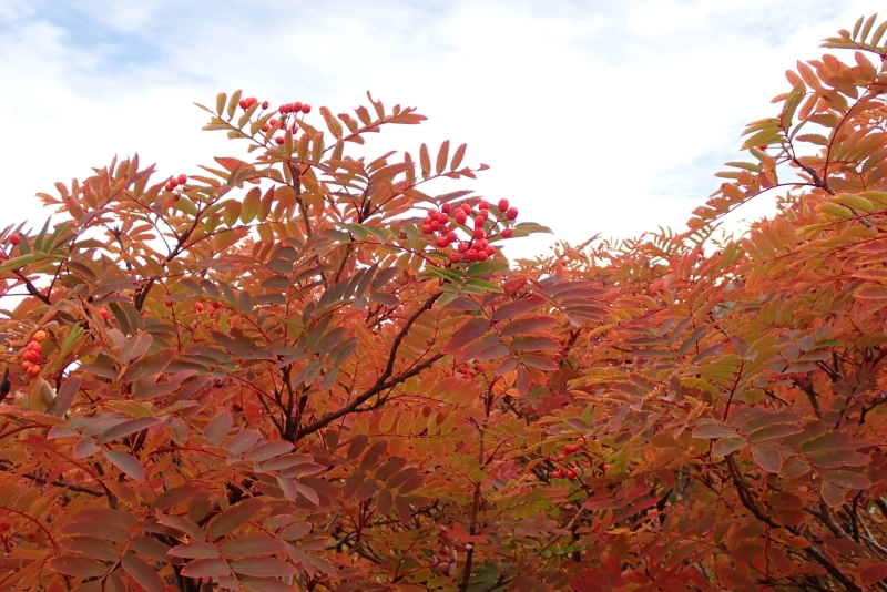 PA043975.JPG