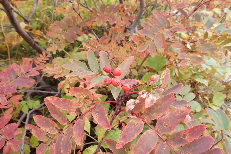 PA043979.JPG