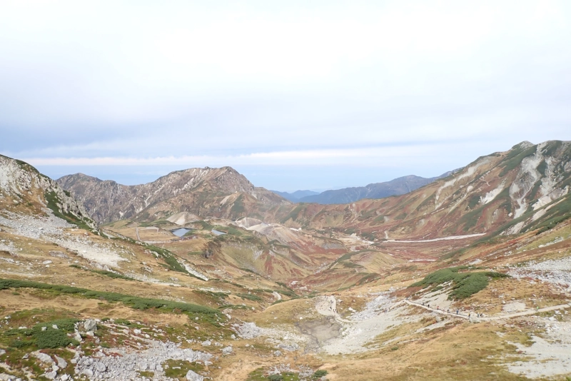 PA044020.JPG