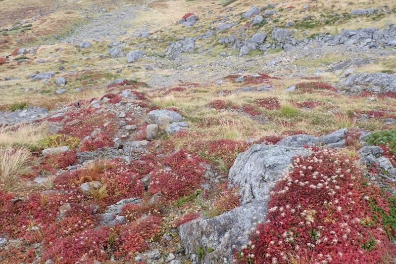 PA044177.JPG