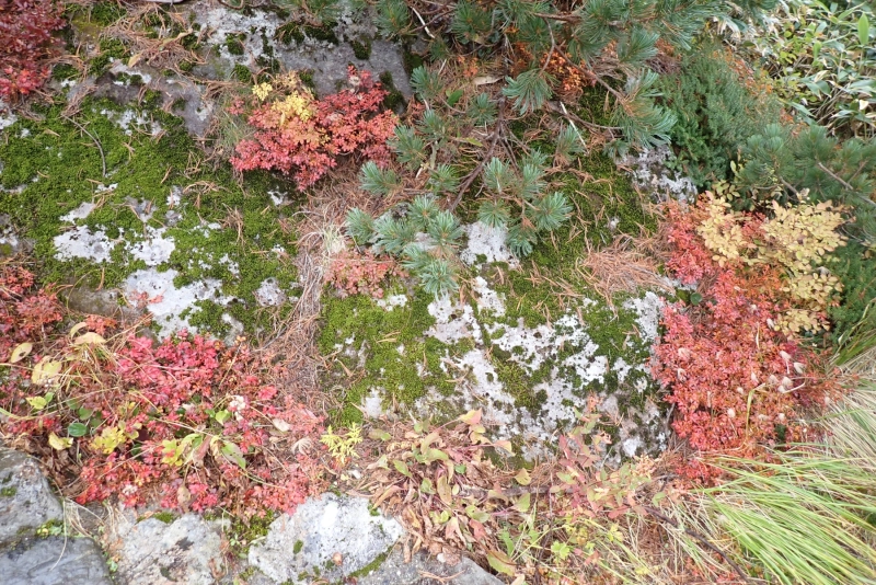 PA044182.JPG