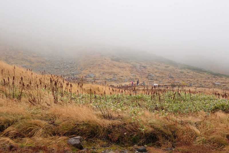 PA144205.JPG