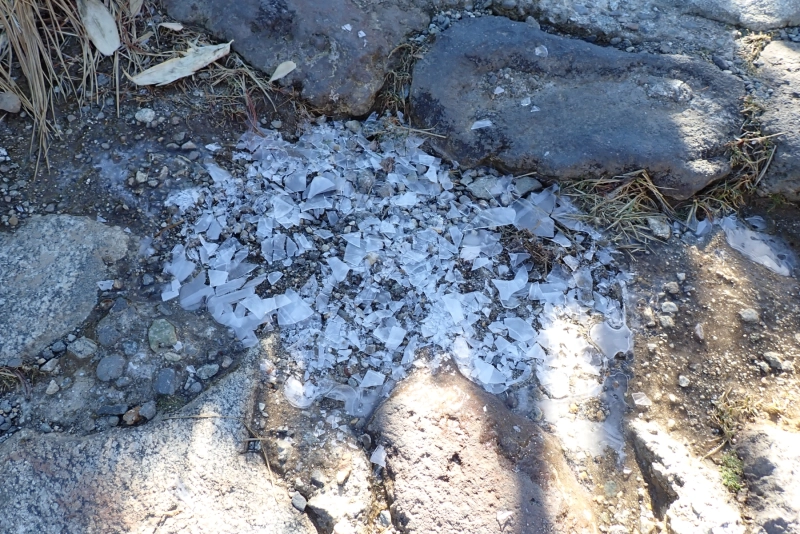 PA154237.JPG