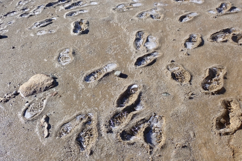 PA154249.JPG