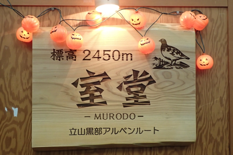PA154284.JPG